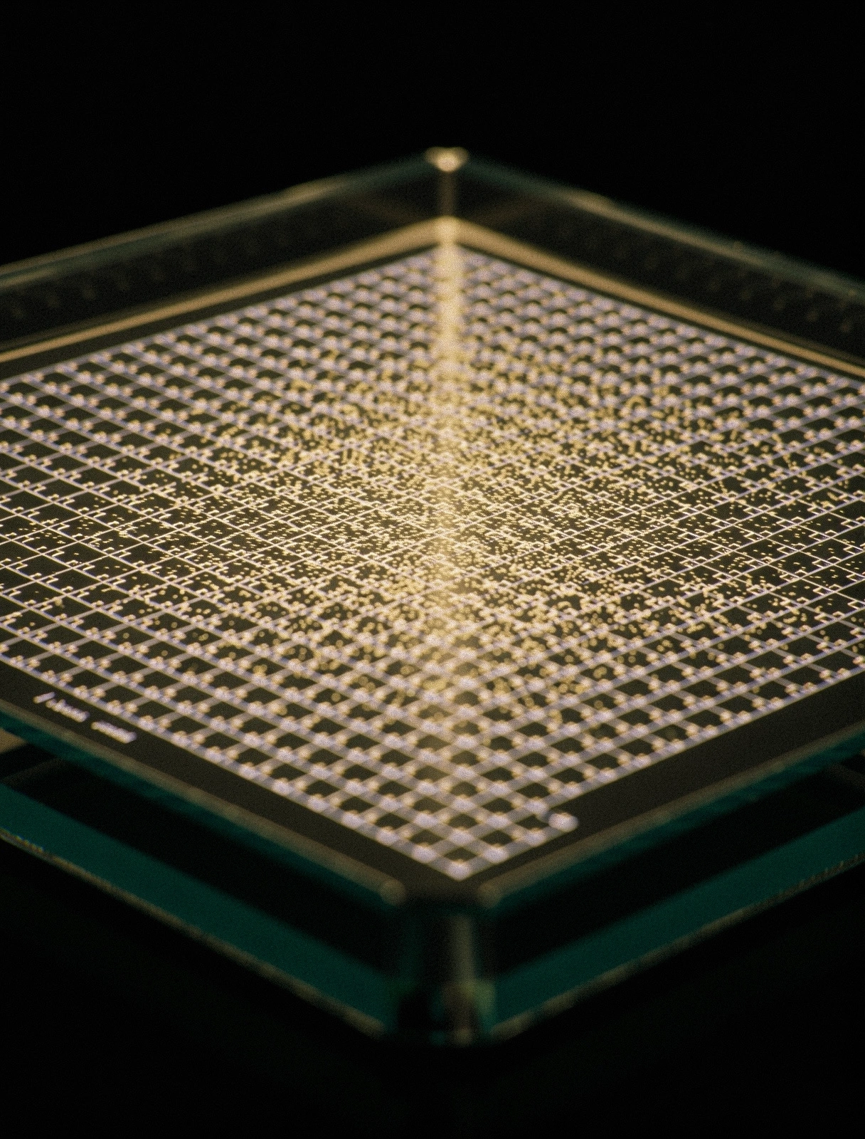 Optische Datenstruktur